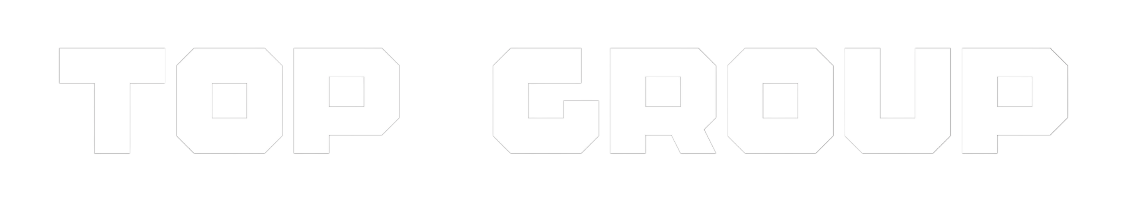 TOP Group Text Logo White TOP Group Text Logo